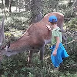 Prazdninovy Dum - Vltavice Διαμέρισμα *