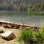 - Vltavice