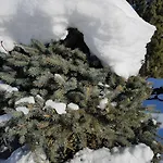 Διαμέρισμα Prazdninovy Dum - Vltavice Horní Vltavice