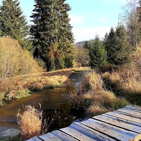 Apartmán Prazdninovy Dum - Vltavice