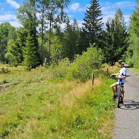 Prazdninovy Dum - Vltavice * Horni Vltavice