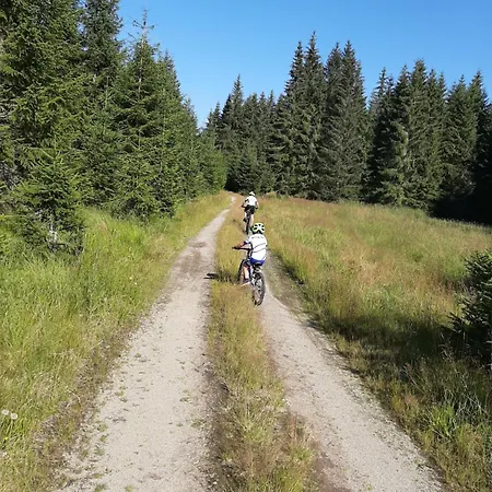 Prazdninovy Dum - Vltavice *