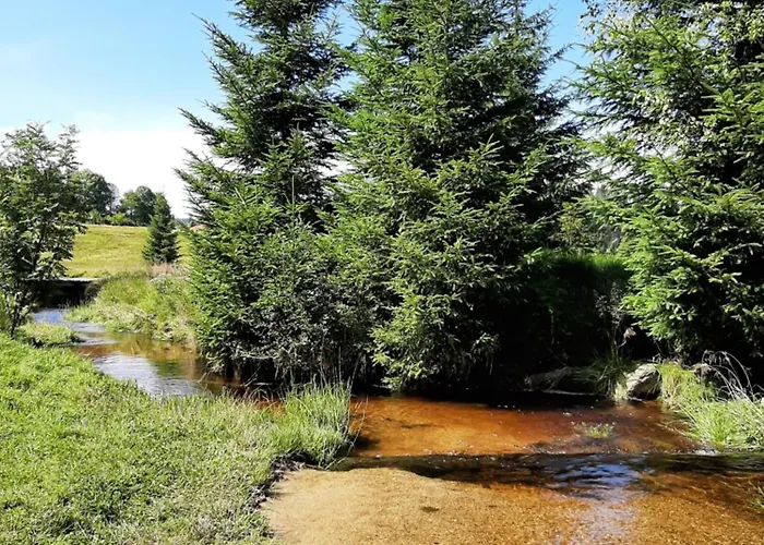 Prazdninovy Dum - Vltavice * Horní Vltavice
